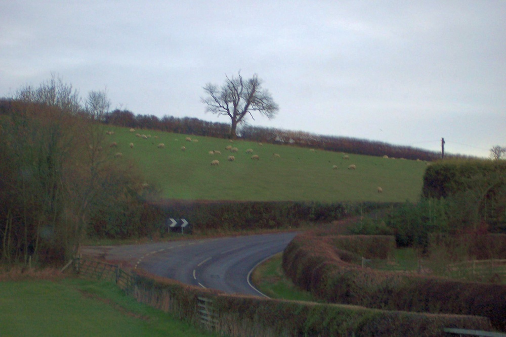 North Yorkshire country Road near Gilling East