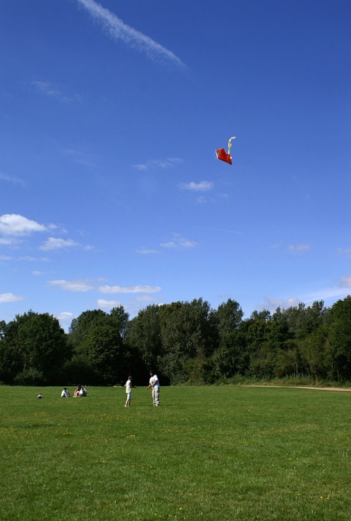 Lets go fly a kite.
