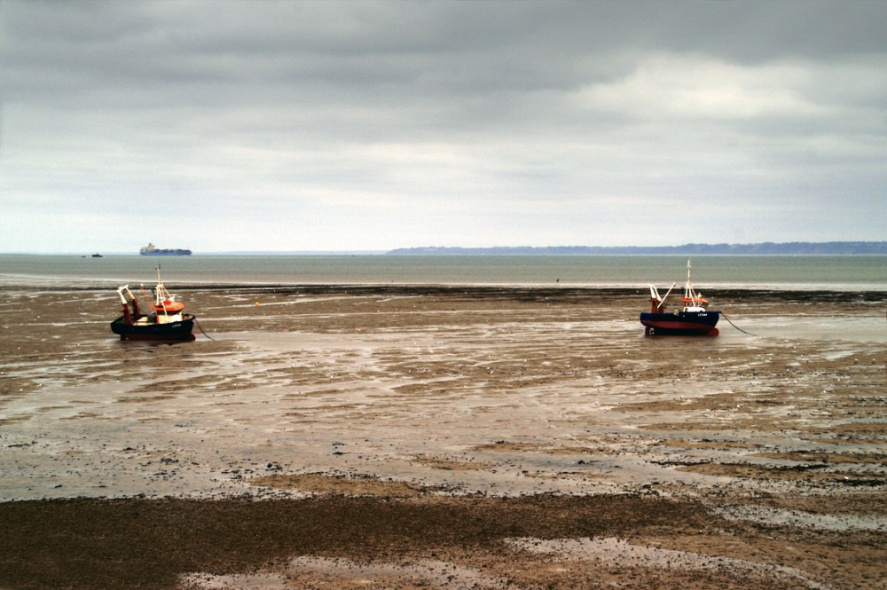 Boats sitting on the mud.
