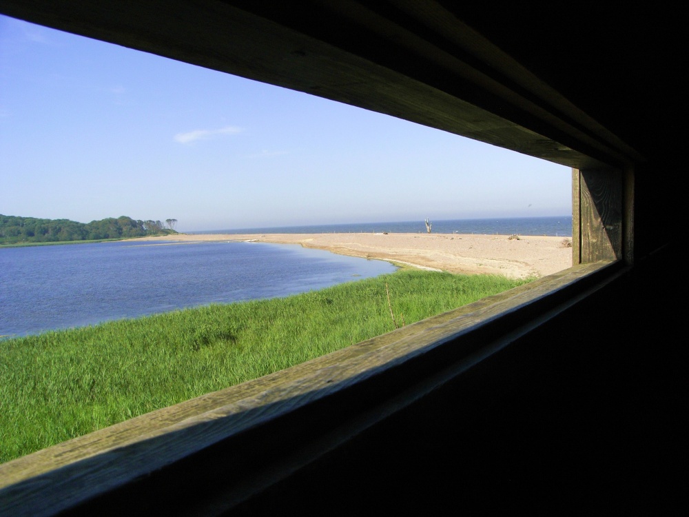 Looking out of the hide at Benacre Nature Reserve