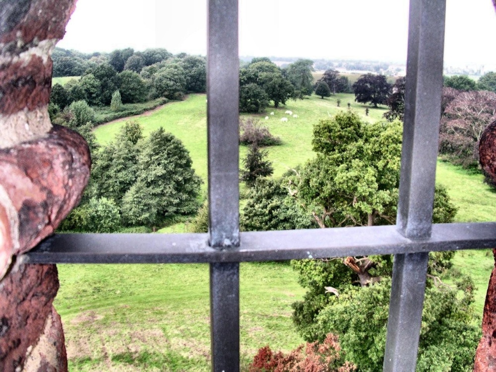 A view from inside Freston Tower