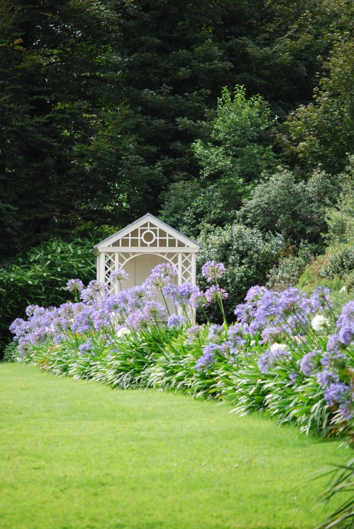 A Cornish Garden