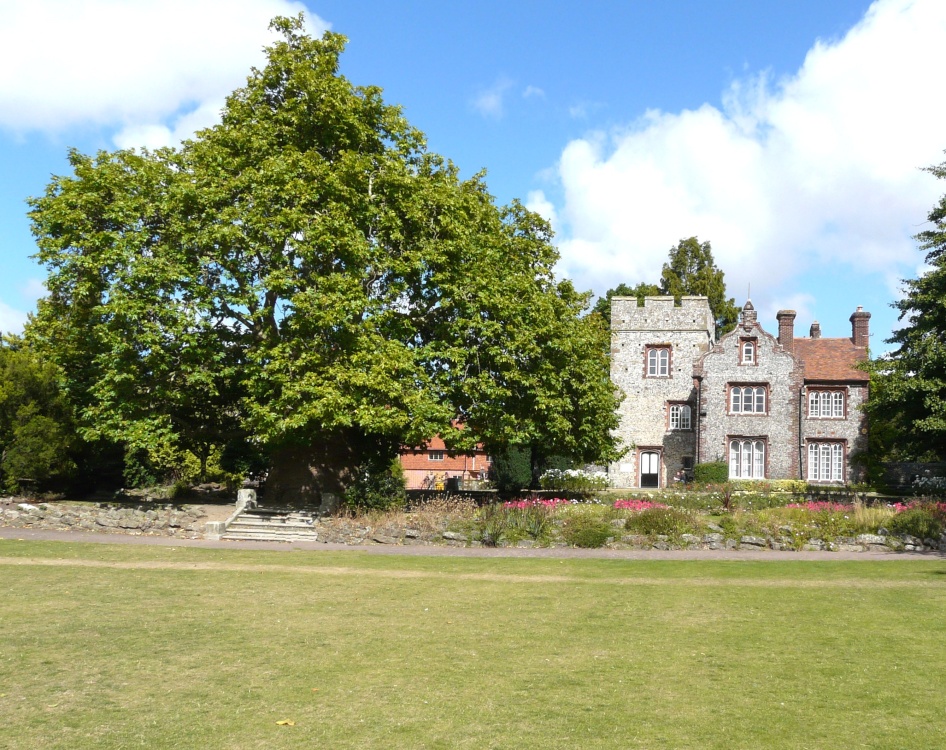 Tower House  and the Oriental Plane Tree in Westgate Gardens