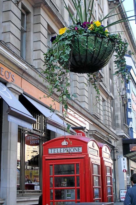 On a London street, a hanging flower basket over phone boxes.