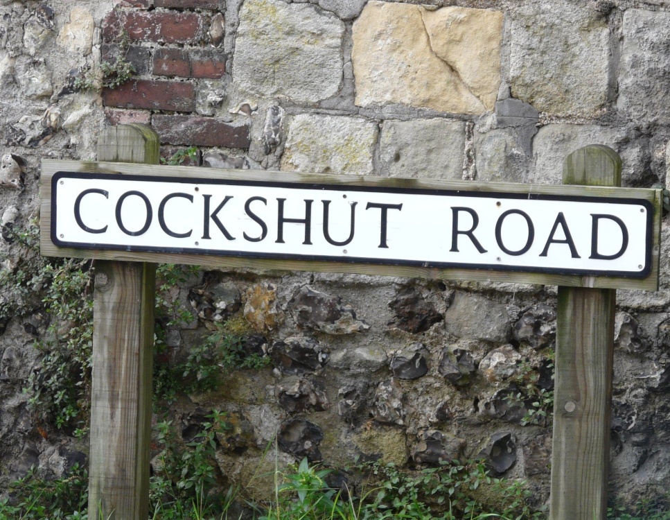 Lewes Street sign