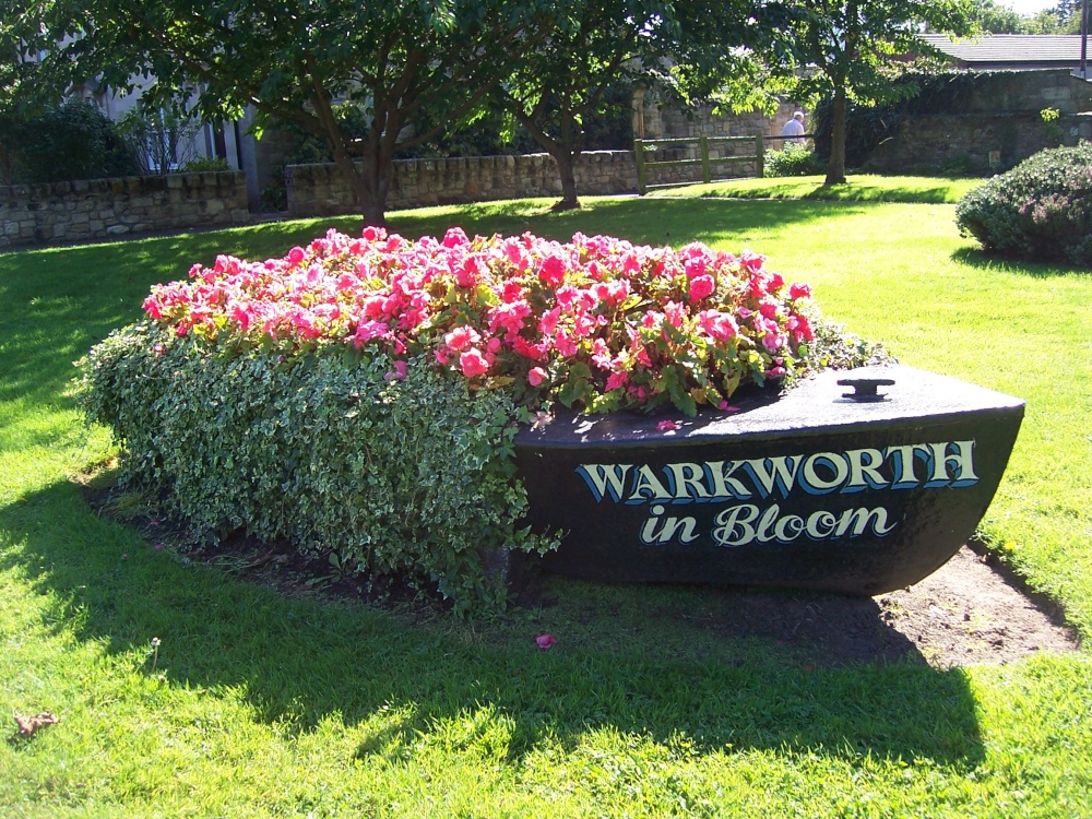Warkworth in Bloom