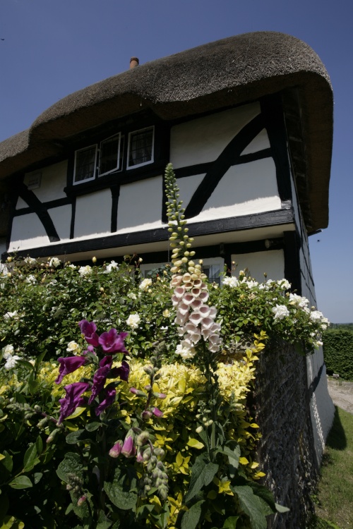 Cottage in the village with flowers