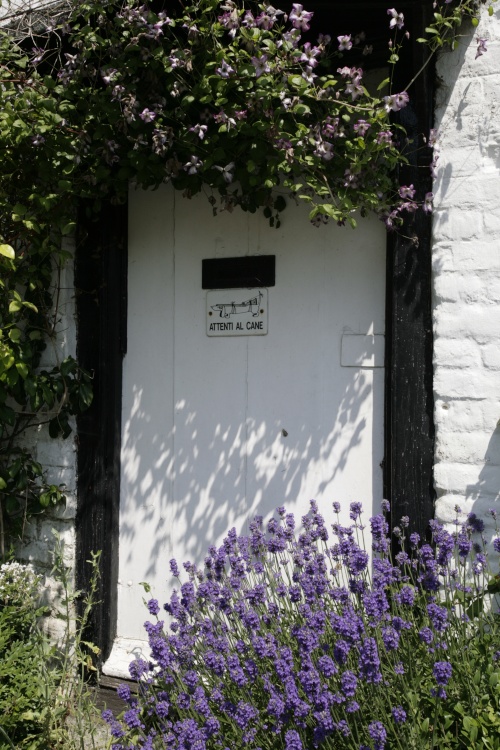 Cottage door