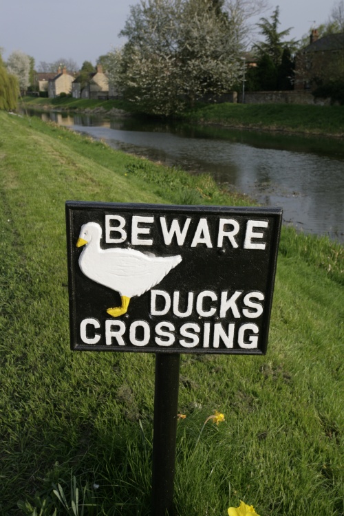 Duck sign, beware