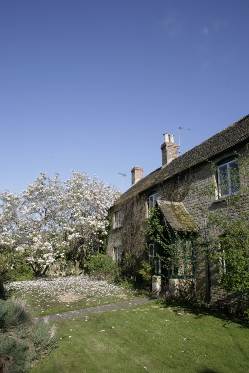Cottage in village