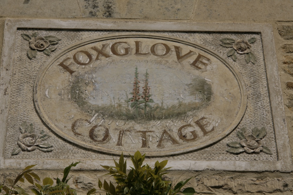 Foxglove cottage.