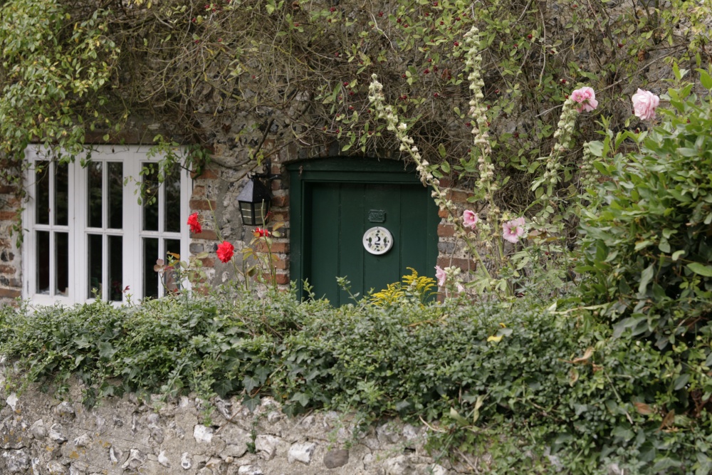 Cottage in village with flowers