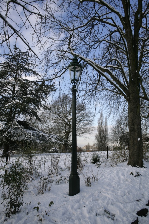 The Park lamp