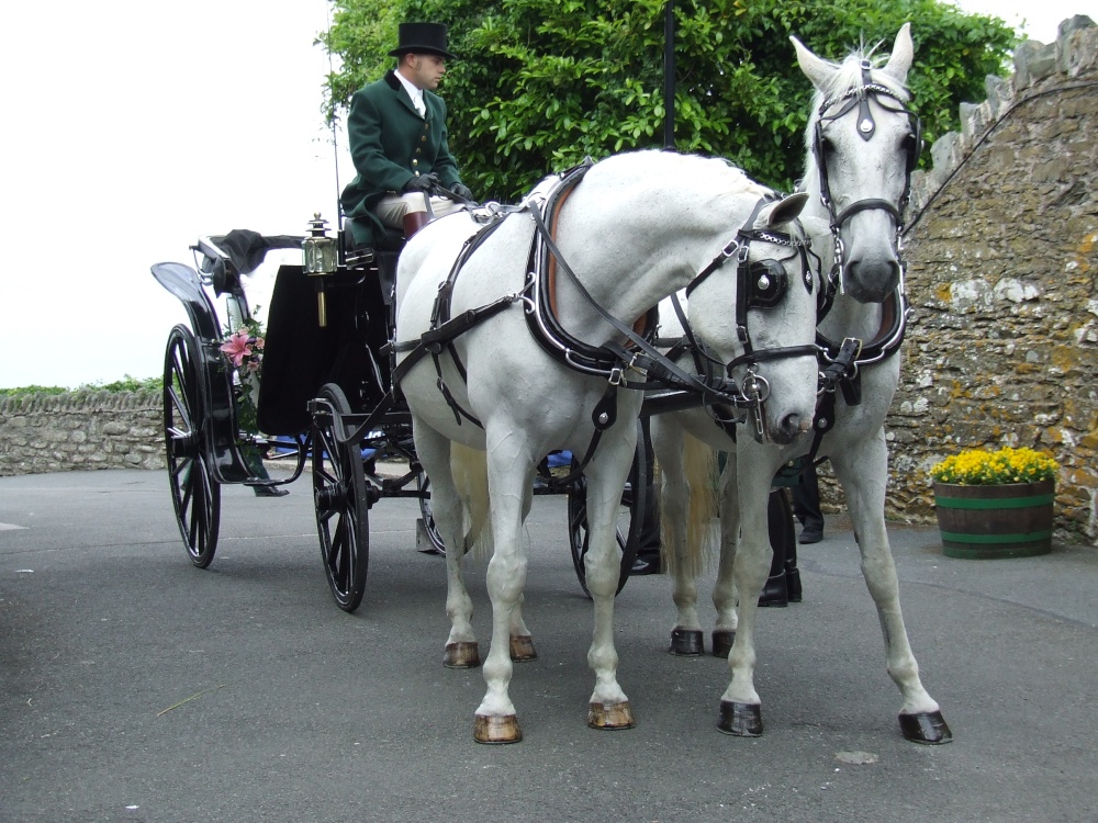 The Wedding Carriage