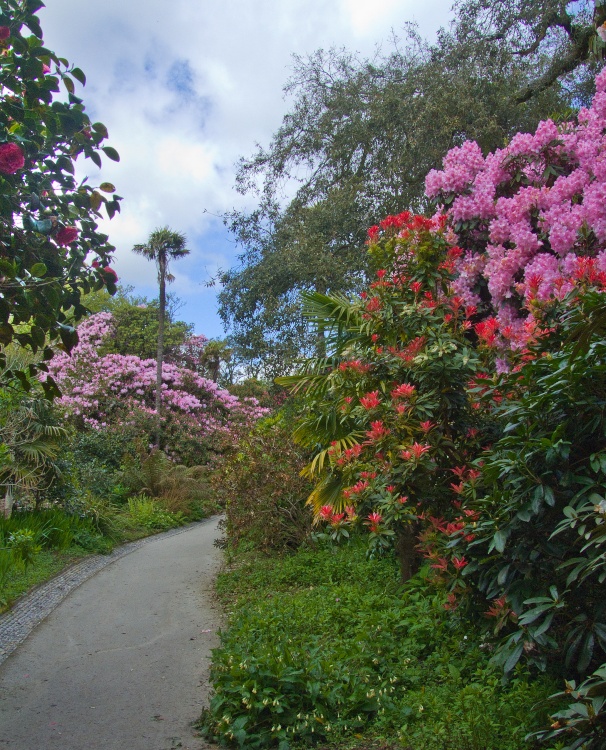 Floral Walk