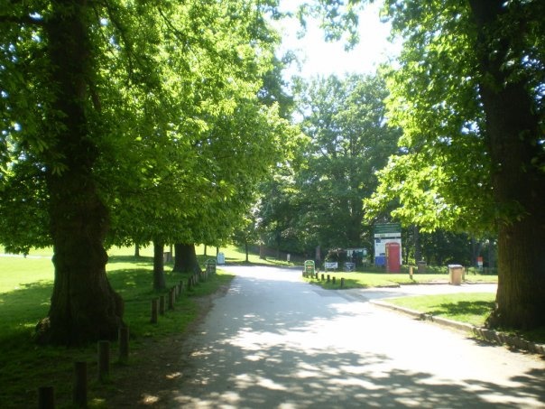 Wollaton Park