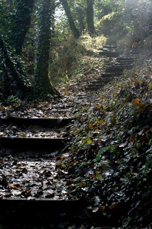 The path up to St Catherine's Castle.