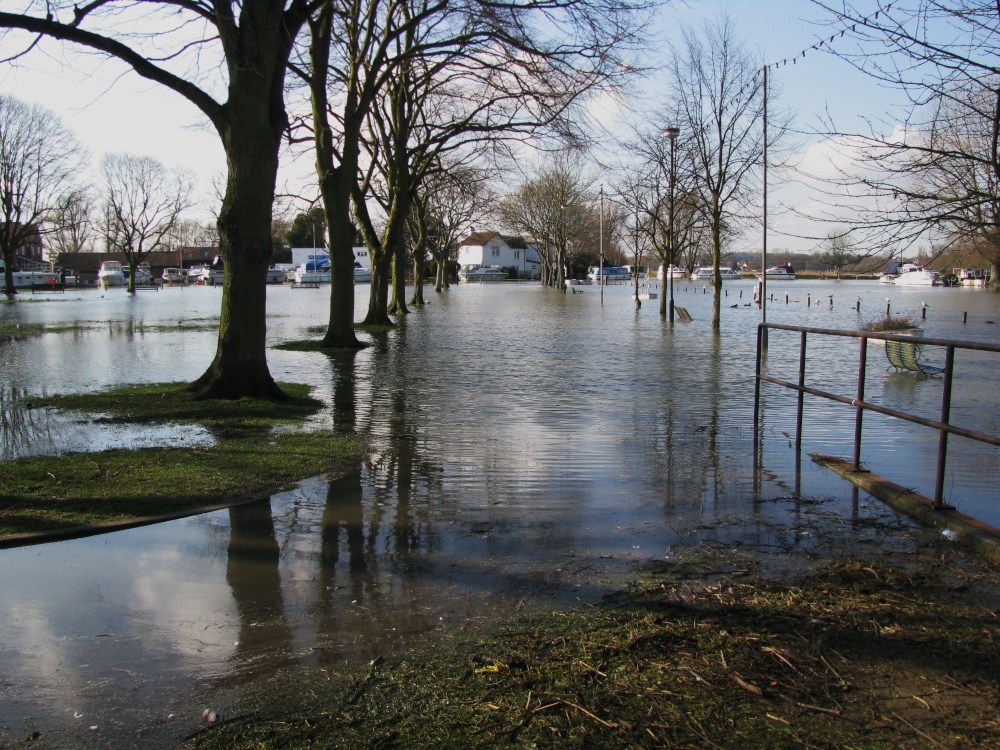 The Flooded Avenue