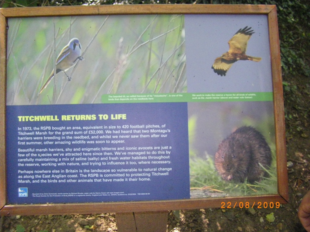 Titchwell Marsh Nature Reserve