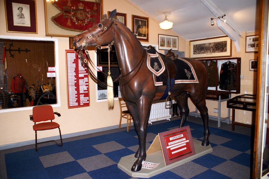 The horse 'Copenhagen' inside the museum.