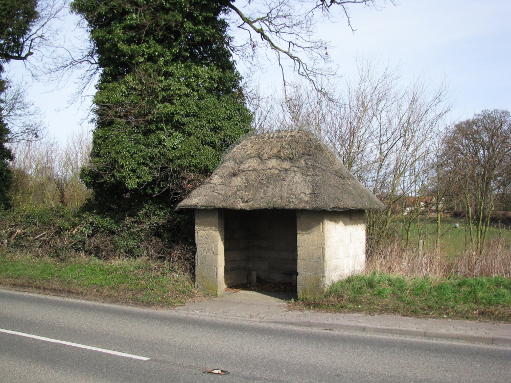 The Bus Shelter