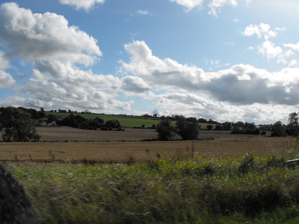 Countryside of County Meath, Ireland