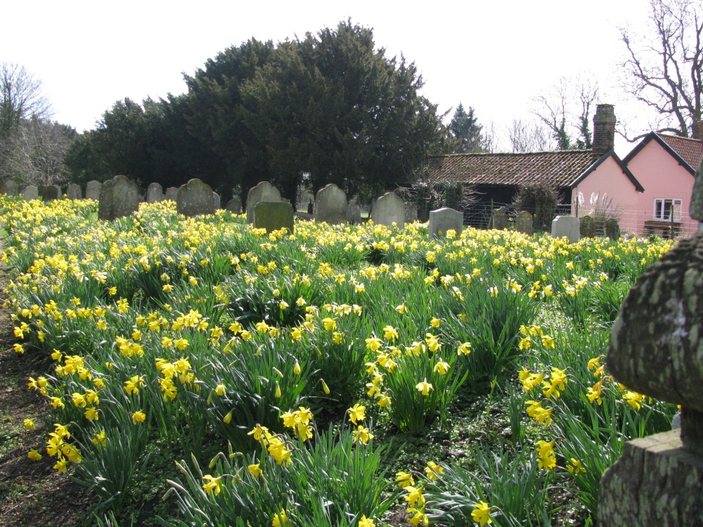 Morningthorpe Graveyard