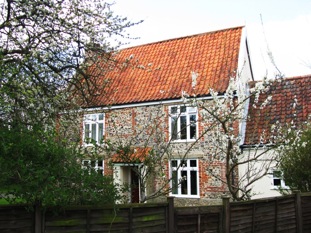 House in Costessey Street