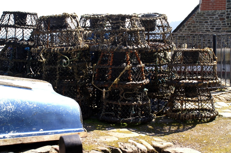 Lobster pots drying in the sun.