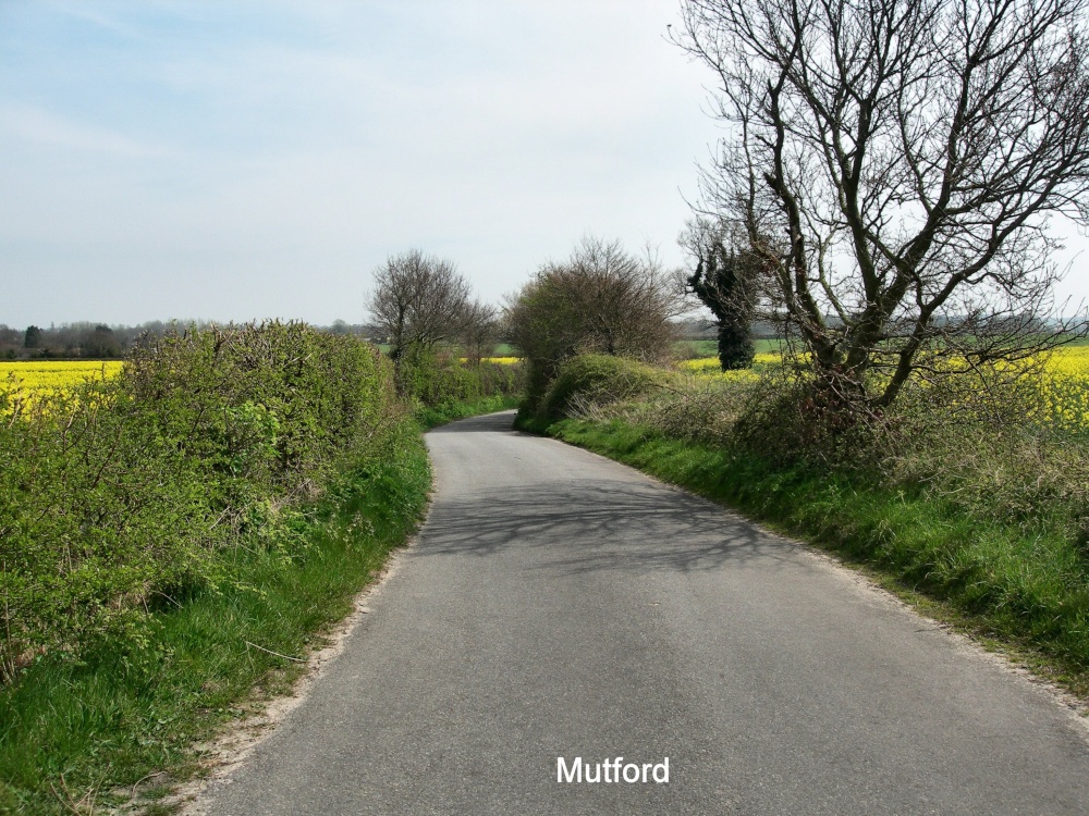A country road in Spring