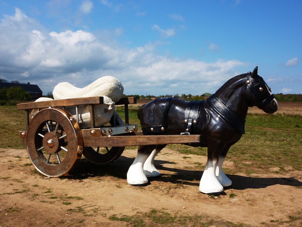 A life sized Shirehorse in a field next to Snape Maltings