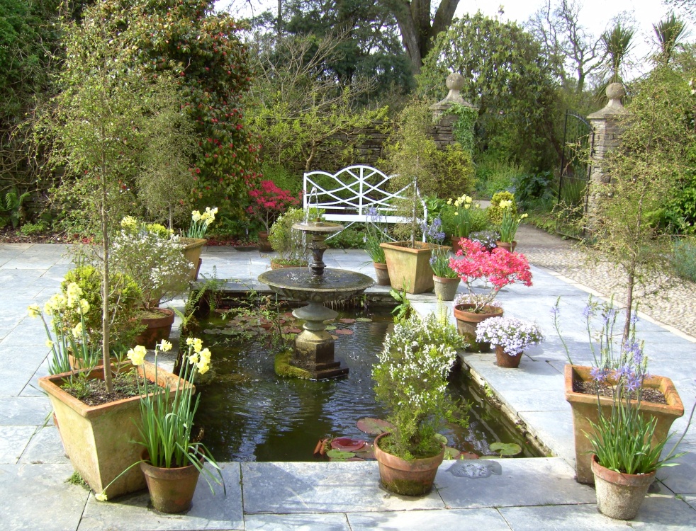 Water Garden