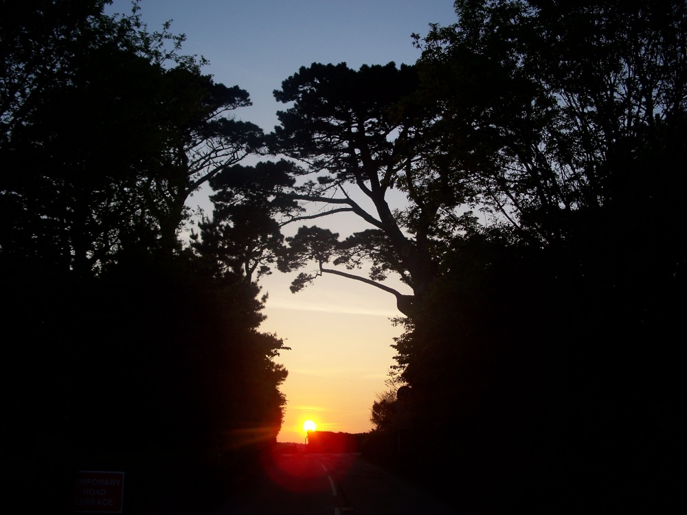 The sun goes down on Trelissick Gardens