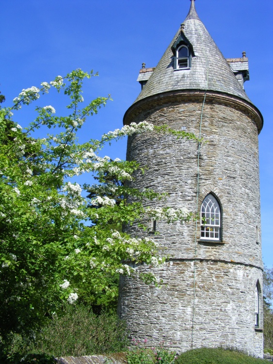 The Water Tower blossoms within Trelissick Gardens