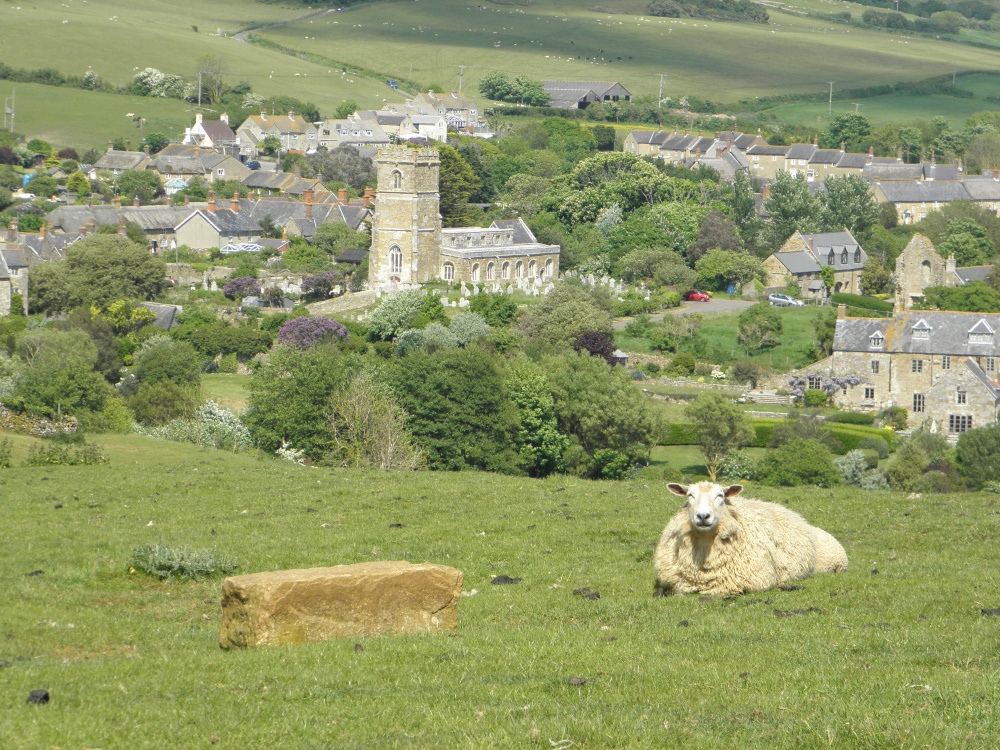 View of Abbotsbury from St Catherines Church