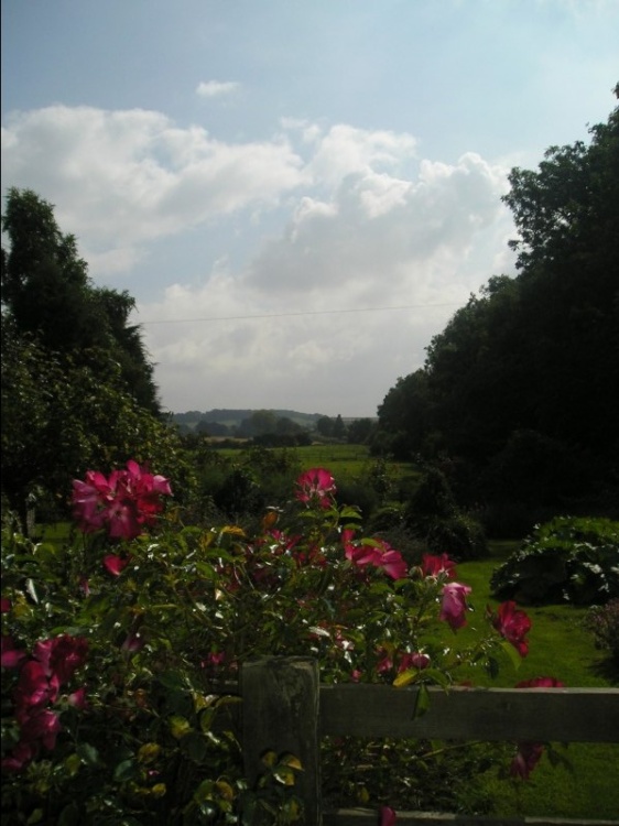 Garden view - Broad Campden
