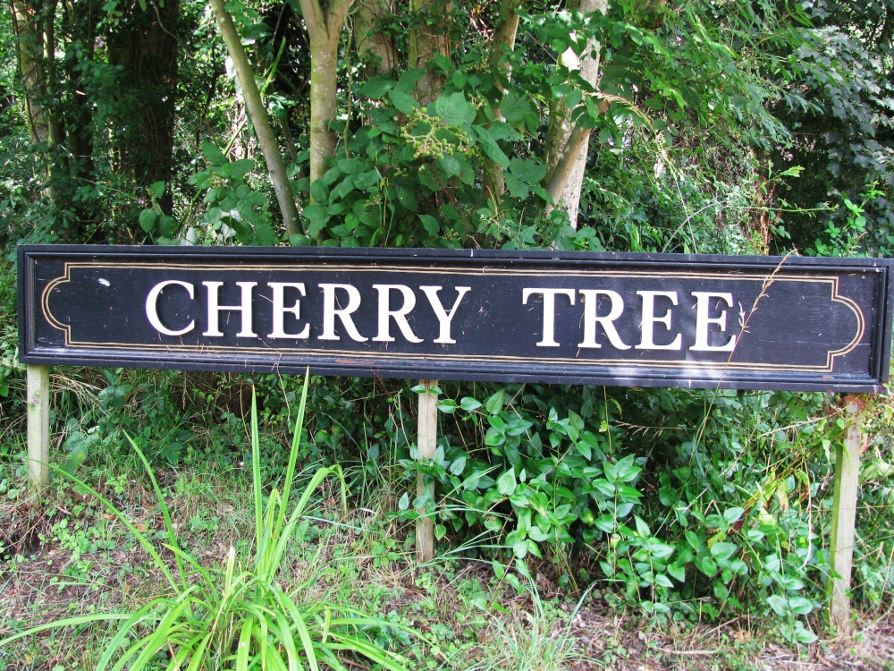 The Cherry Tree sign opposite pub