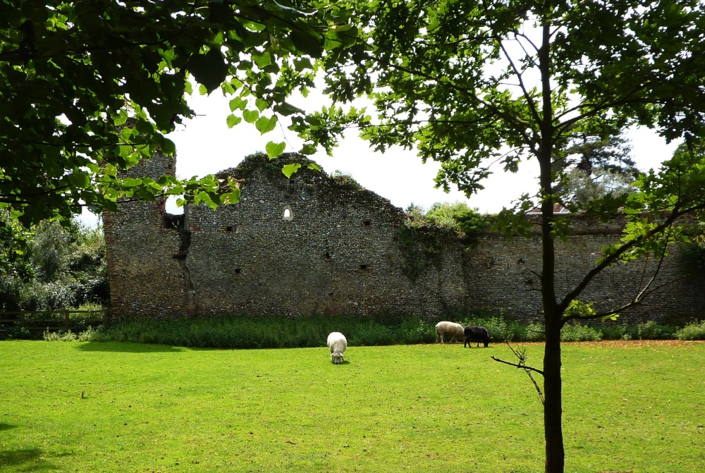 A view of Mettingham Castle Walls