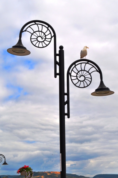 Lamp post in Lyme Regis