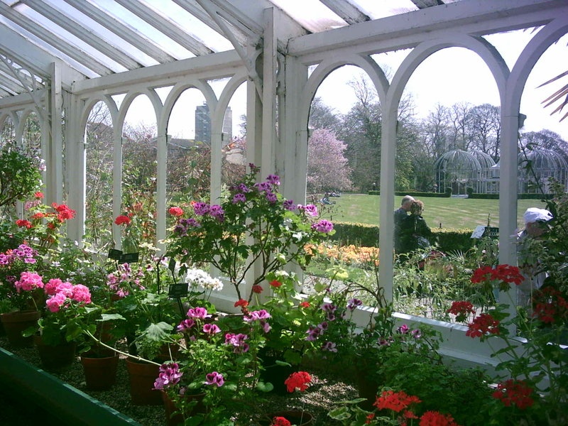 Birmingham Botanical Gardens in Bloom - Part 11