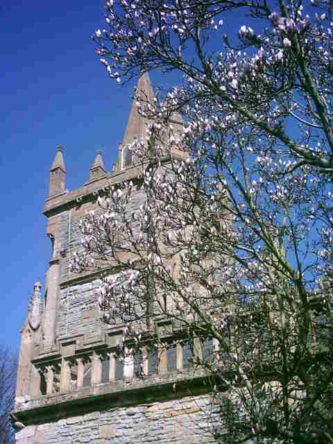 Evesham - Church of All Saints in bloom !