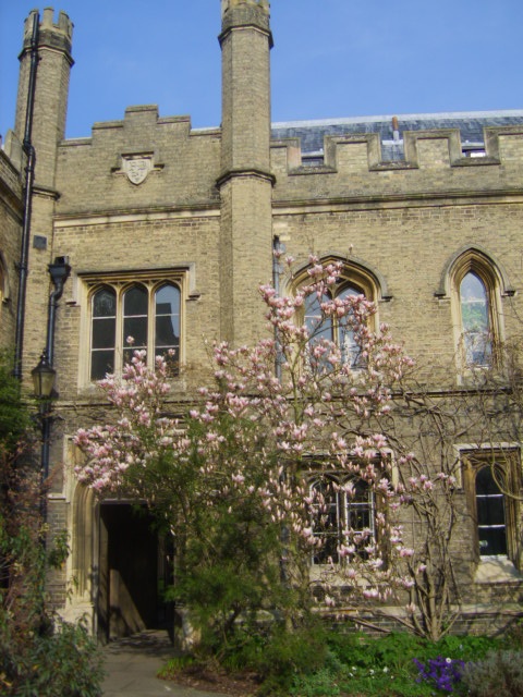 Pembroke College Gardens