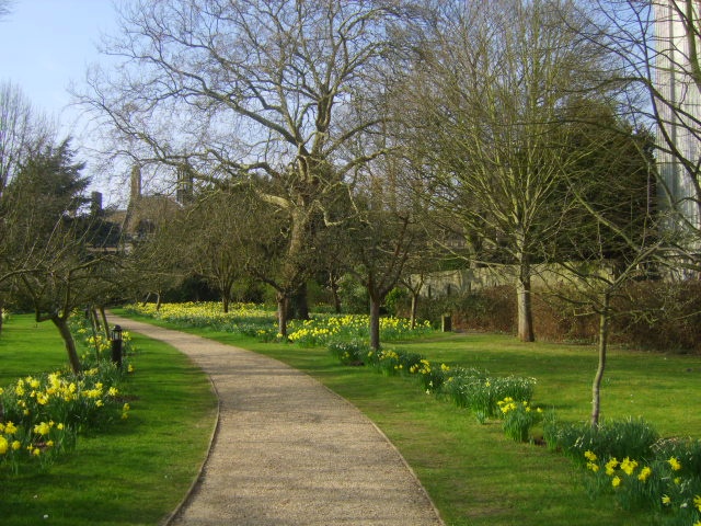 Peterhouse College Gardens