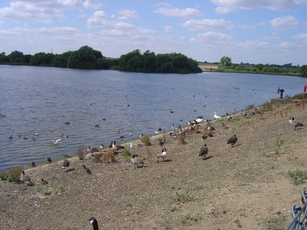 Abberton Reservoir