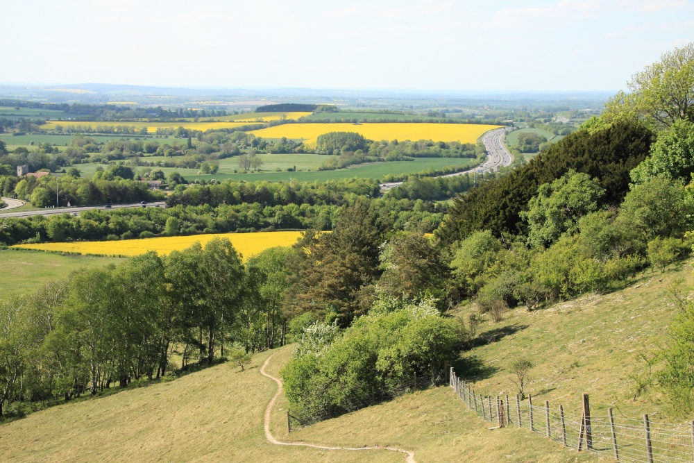 View from Beacon Hill, Aston Rowant