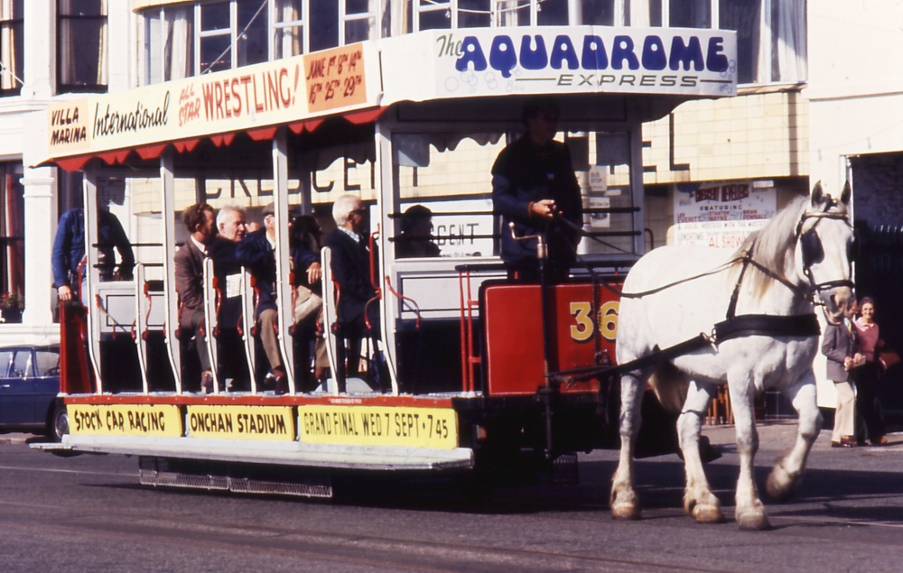 Horse Tram