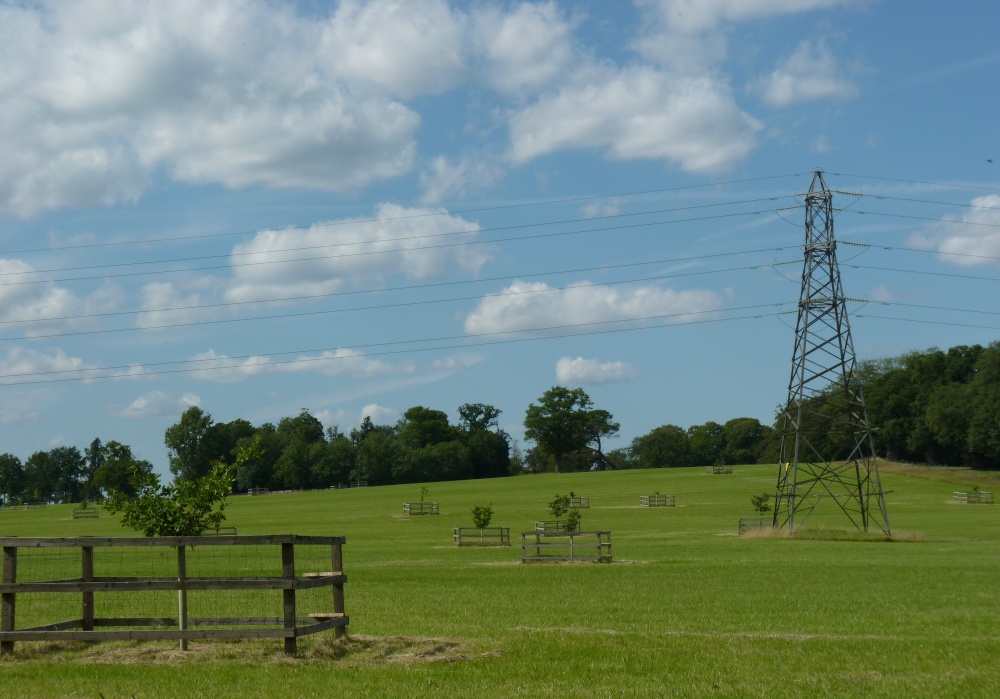 Pylons and Fences