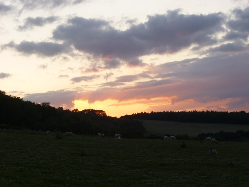 Pasture on hill above Snowshill at dusk.