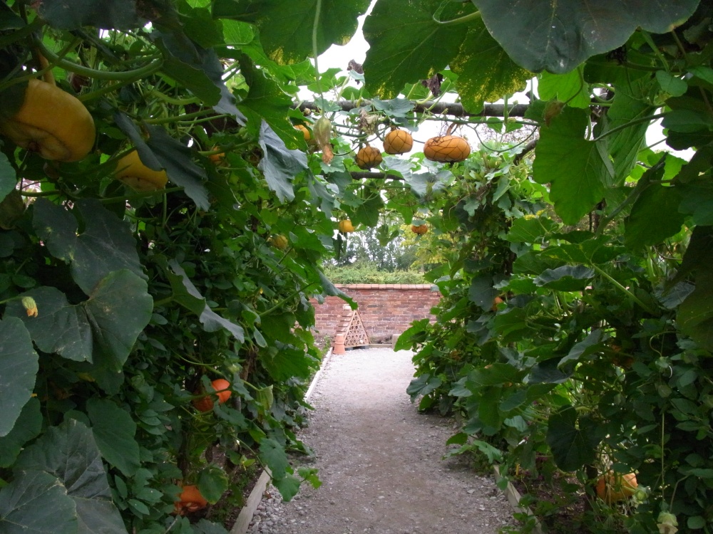 Squash arch, Packwood House