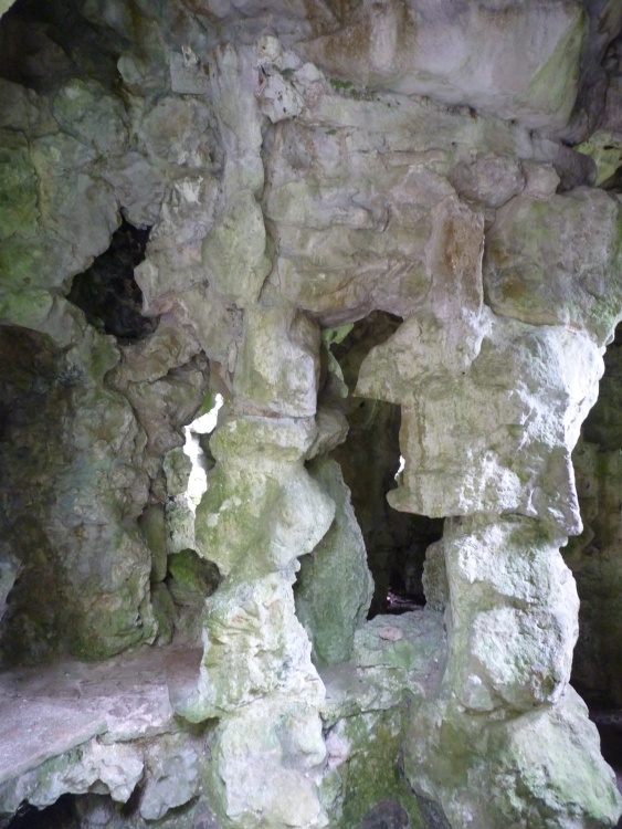 The Cat and The Grotto